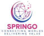 shop.springo.co.in